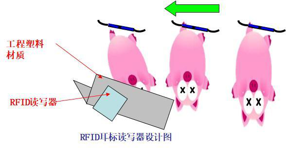 RFID ear tag reader