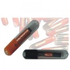 animal microchip glass tag