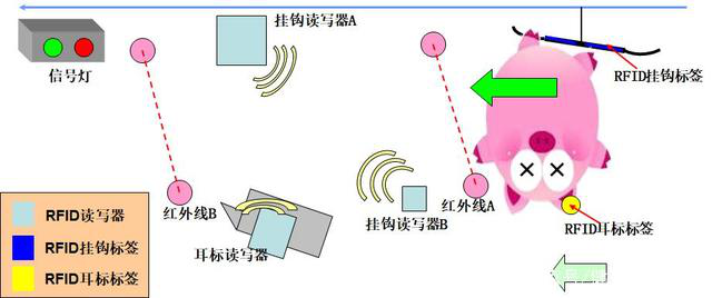 In-depth analysis: the application of RFID readers in pork slaughter